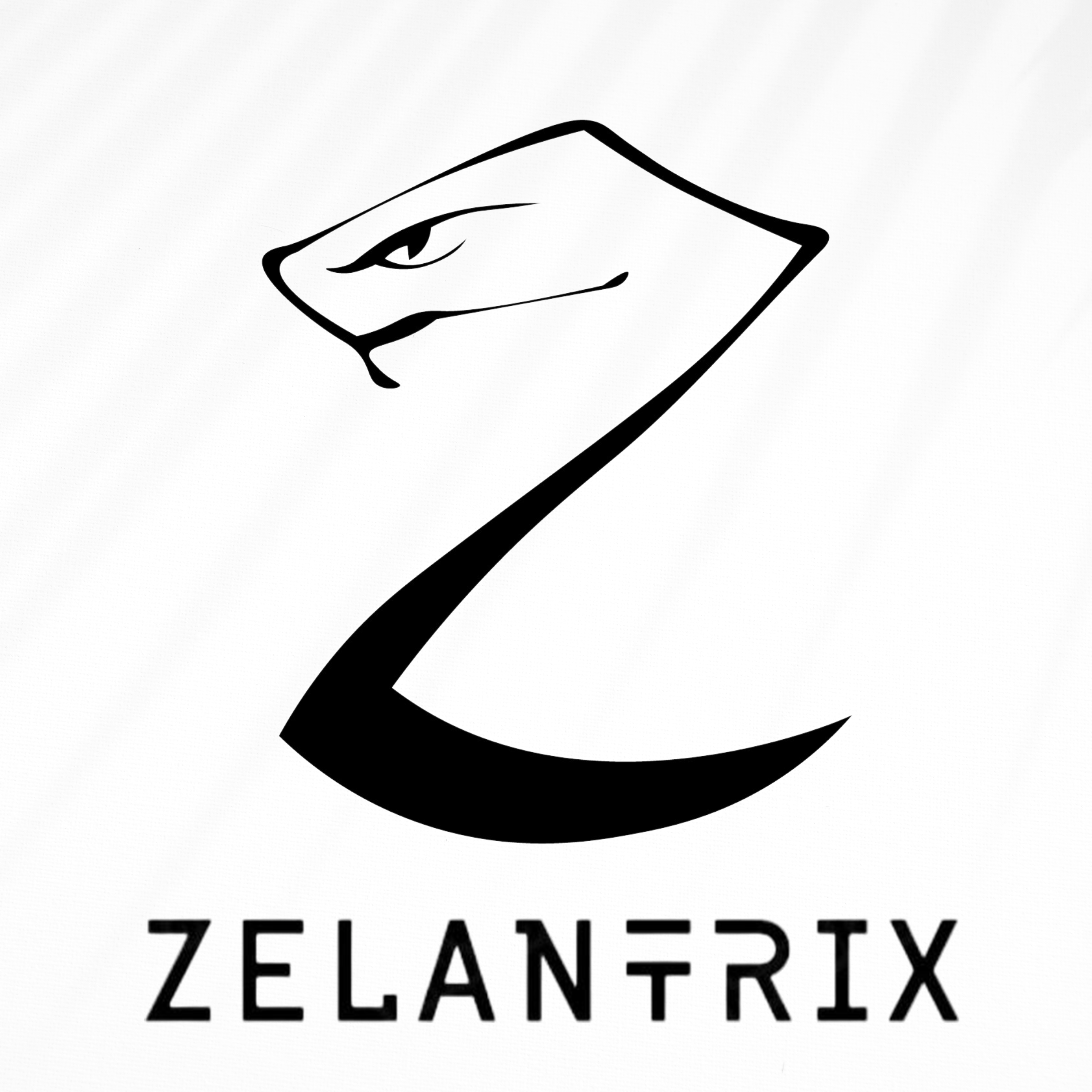Founder @Zelantrix